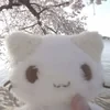 в солёном море
