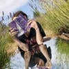 ninetai1ed