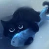 KT0-T0zzz