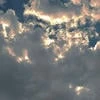 Вестик252