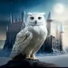 Oriona14Snape