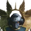 Ned_zone