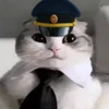 Комару000