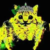 сашек котяр