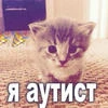 Лиза_крутая228