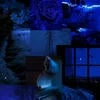 Wandering She-Wolf of the Night