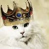 Evans_king