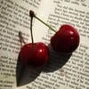 cherry_nuovo