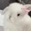 жужик_т0т