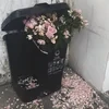 MDNS