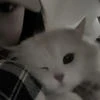 bibaba