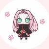 Sakura_chhaan