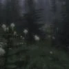 ameli_ViV