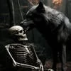 Rizu and Lupo