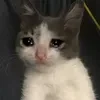 --КоТэ--ПоД--нАрКоТэ--