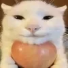 Яблочная Звезда