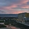 Baby_boomx