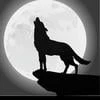 Shade Moon