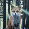 Книжный дьяволёнок