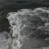 varu_lee