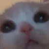 LampochkaLLait