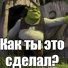 Алие Джалилова