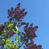 прошла по касательной.