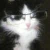 Bloody_cat87