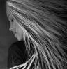 SilverWind