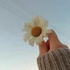 стеклянная ромашка