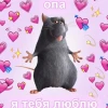 книжная крыска