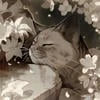 T0ri_U