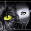 elsiss