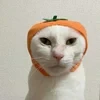Depressing_marshmallow