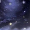 _Night_stars_
