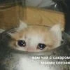 __kanyan_j__