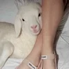 соня пишет всякое