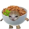 Sonakazak