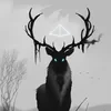 Xanos