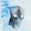 kitty willi