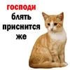 msnk_k1tmb