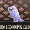 Сэйсса Тук
