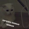 Скоятаэль на подработке