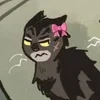 Crow the loner cat