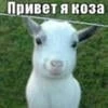 kozochkatm