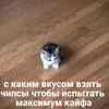 Гавнищко