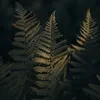A L E N