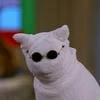 Salem_Pussy