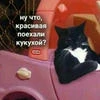 мара примара