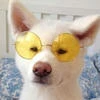 Авей
